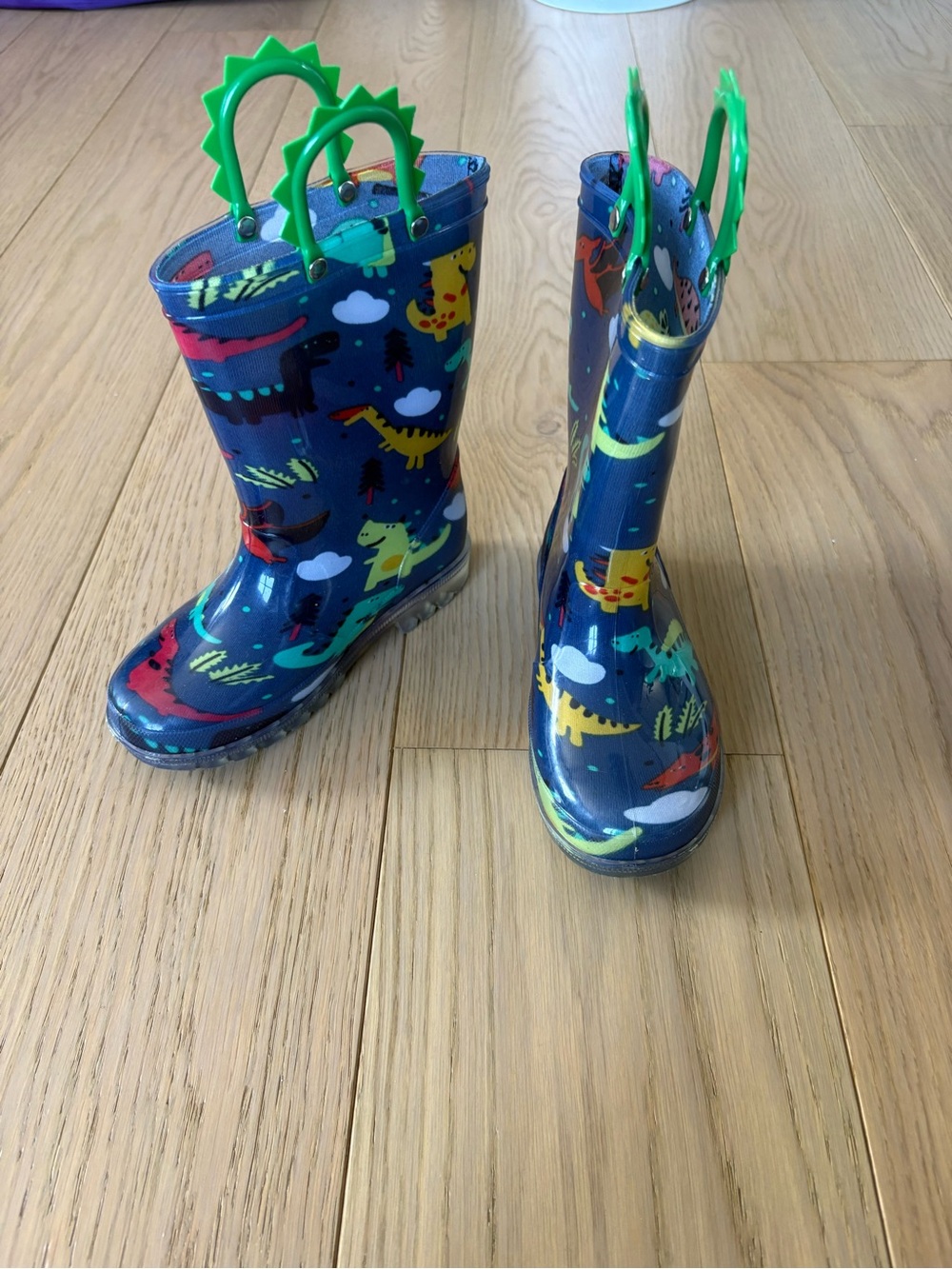 Amazon dinosaur rainboots - size 12